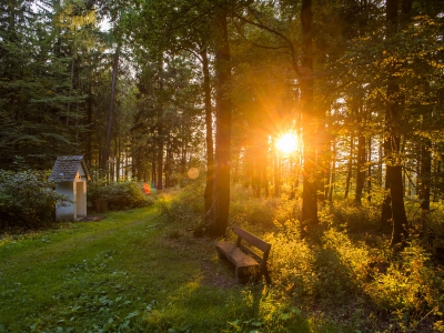 Wellness Anwendung